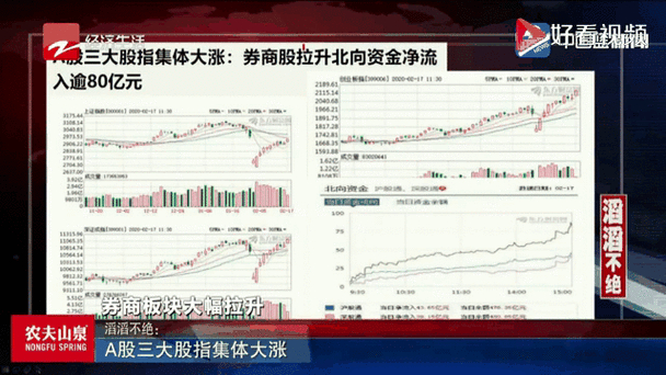 创业板重挫_证券公司配资_市场深度调整