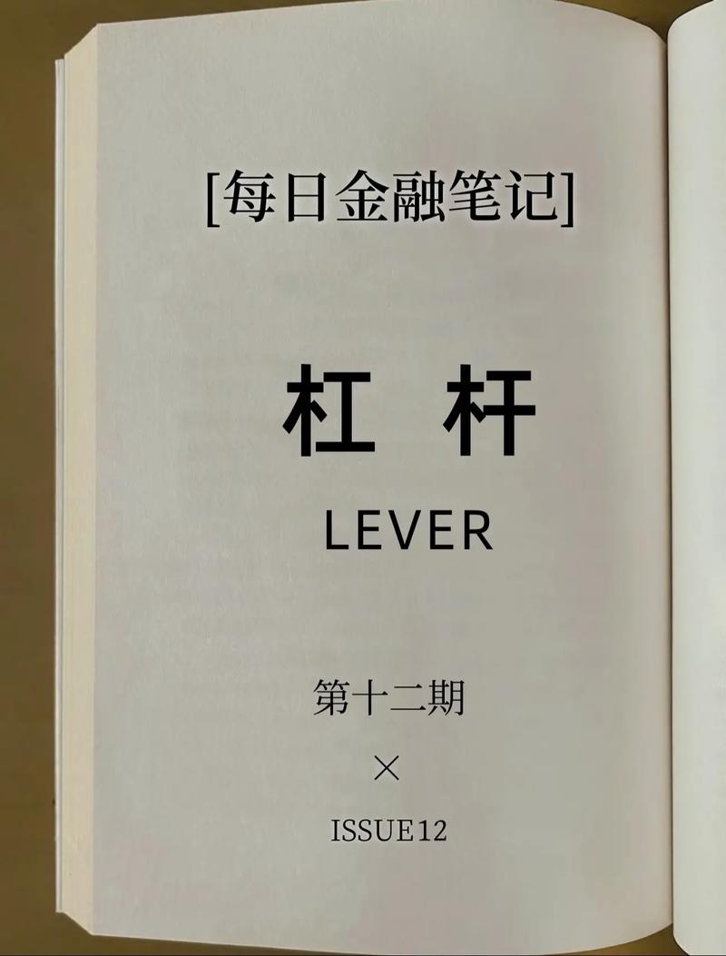 杠杆股票类型及特点_股票可以杠杆吗_股票杠杆申请流程