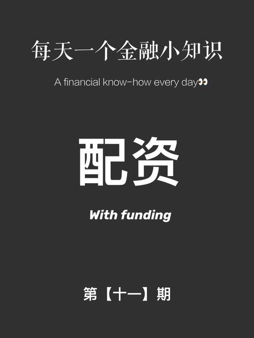 两则配资公司公告引资本市场震动，红象金融揭秘配资内情