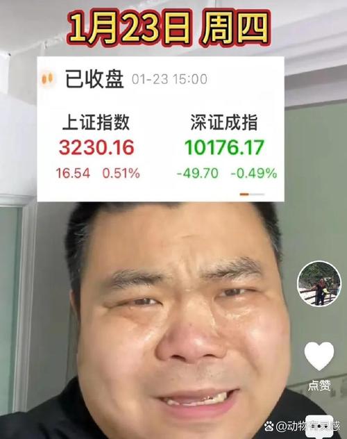 网红股民爆仓原因分析_全职杠杆炒股失败案例_杠杆炒股爆仓