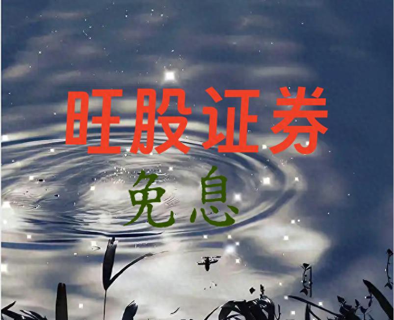 指尖轻点杠杆资金瞬到账，配资在线平台暗藏生死线？