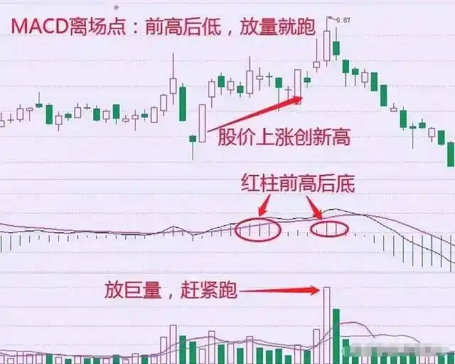 股市财富自由_炒股赚钱_长期价值投资