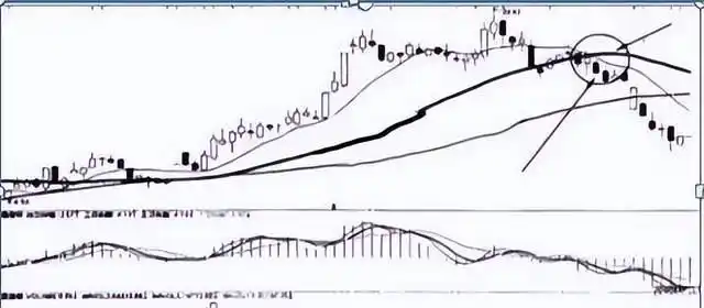 长期价值投资_炒股赚钱_股市财富自由