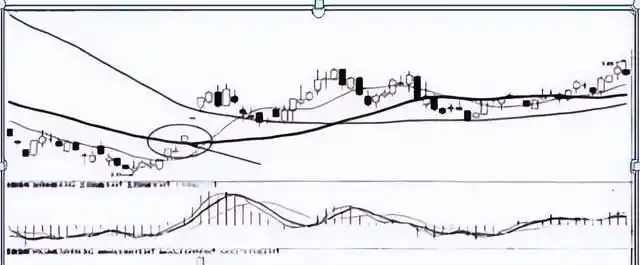 股市财富自由_炒股赚钱_长期价值投资