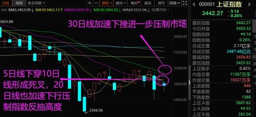 实时股市大盘信息网站_股票行情大盘走势_东方财富网实时股市信息