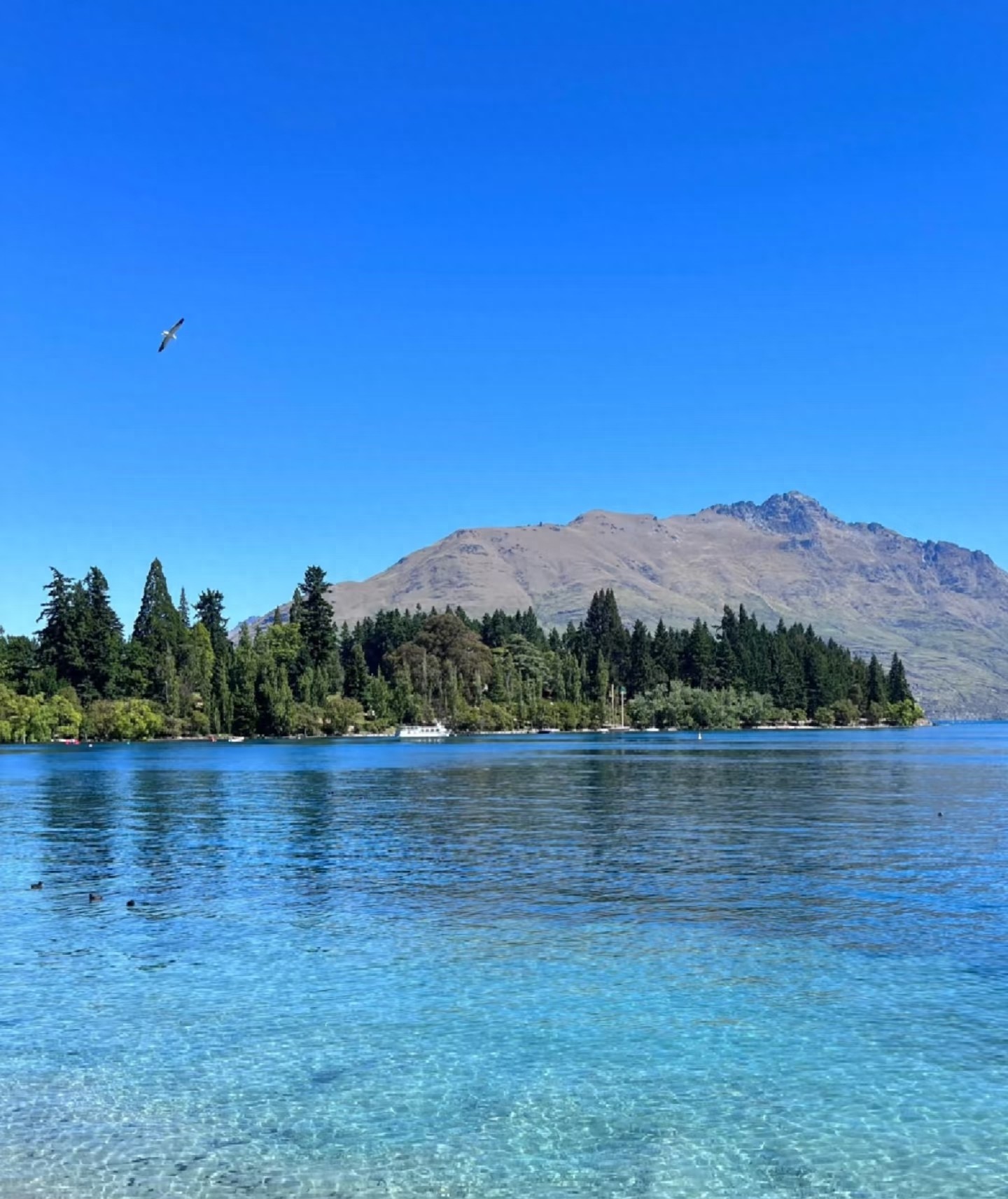 杠杆炒股开户是双刃剑？朋友5万本金放大后血亏的真实经历