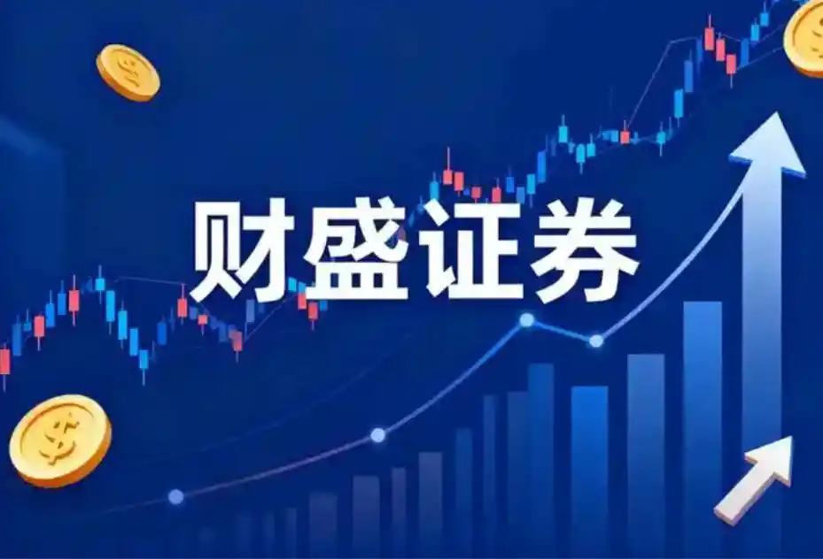 平台合规路径与风险结构_股票配资市场_2026年正规股票配资行业监管分析