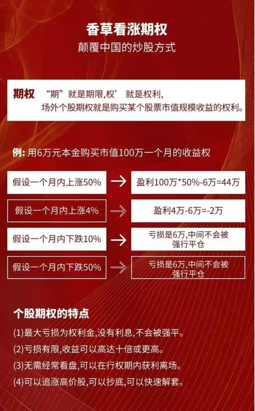 股票如何加杠杆_场外期权杠杆率计算方法_场外期权个人投资者参与方式