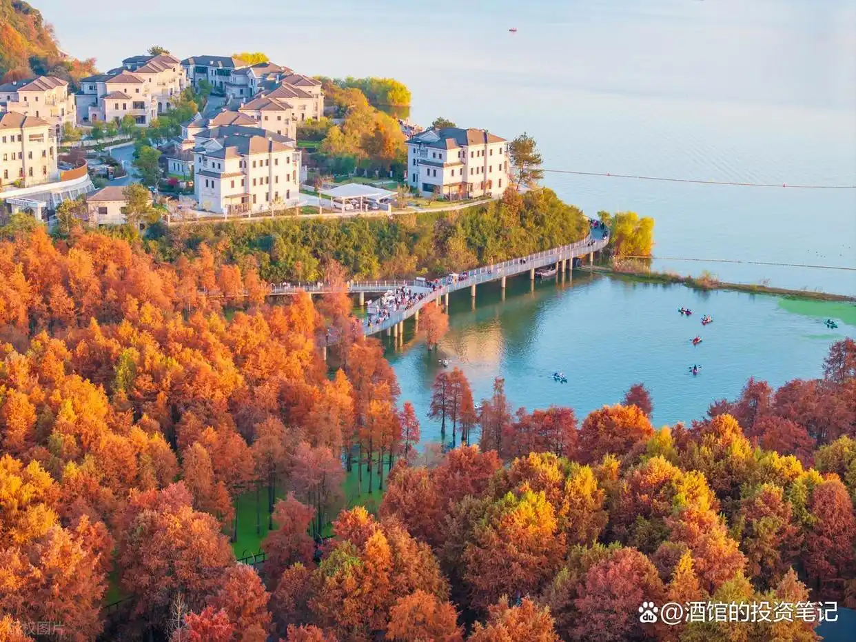 炒股习惯_股票最稳的赚钱方法_股东权益回报率