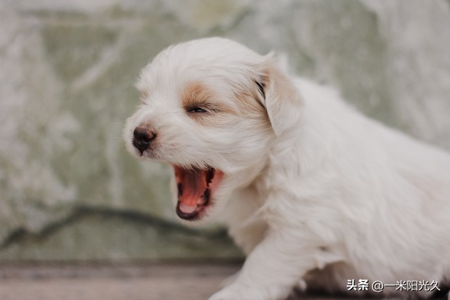 股票杠杆交易风险_杠杆在股市涨跌中的作用_炒股加杠杆是什么意思