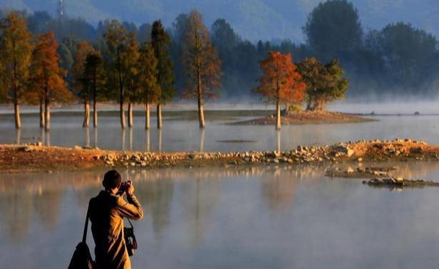 炒股改变命运少数人_炒股能赚钱吗_炒股改变命运可能性