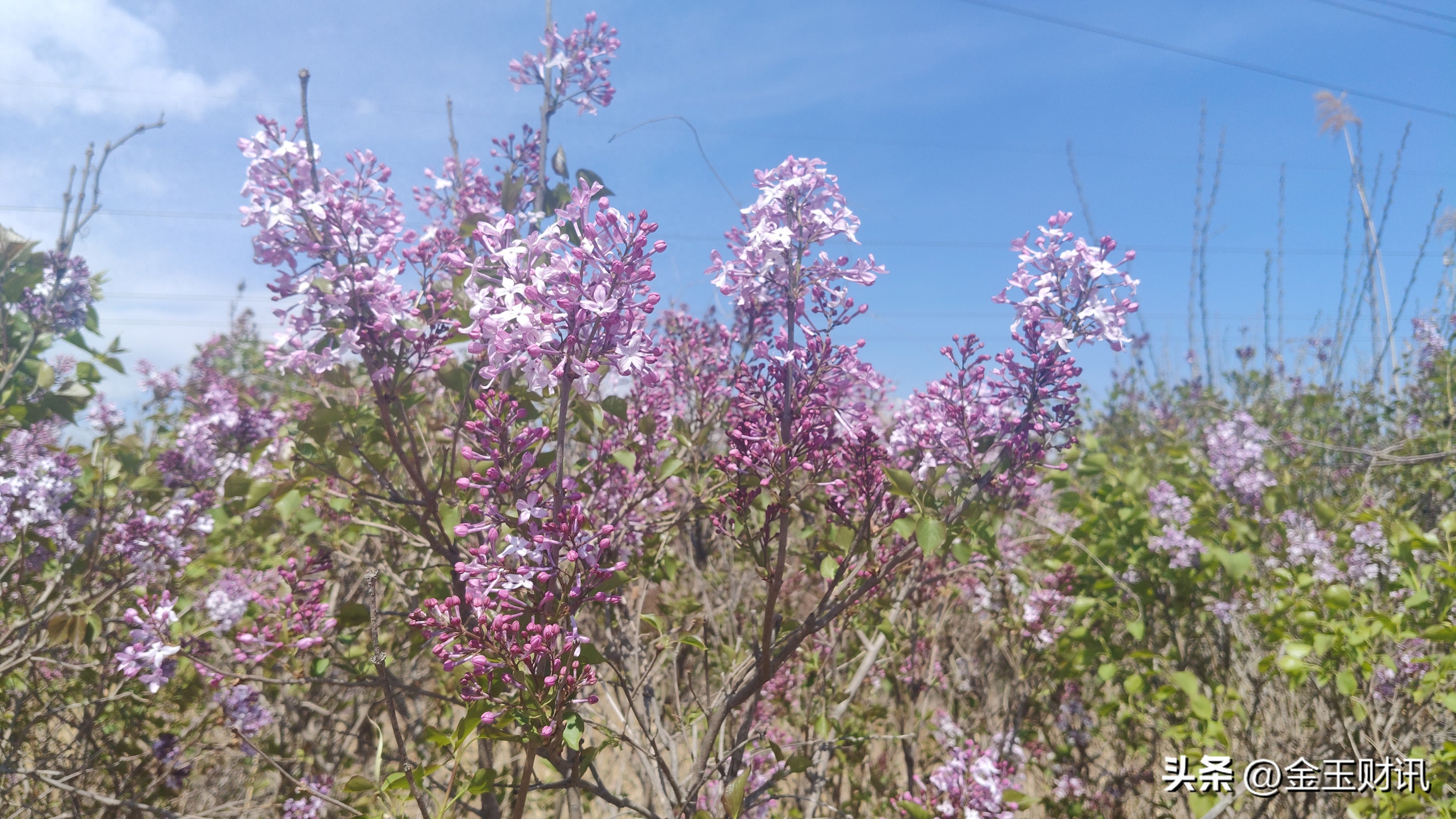 炒股的核心技巧：搞懂市场在炒什么
