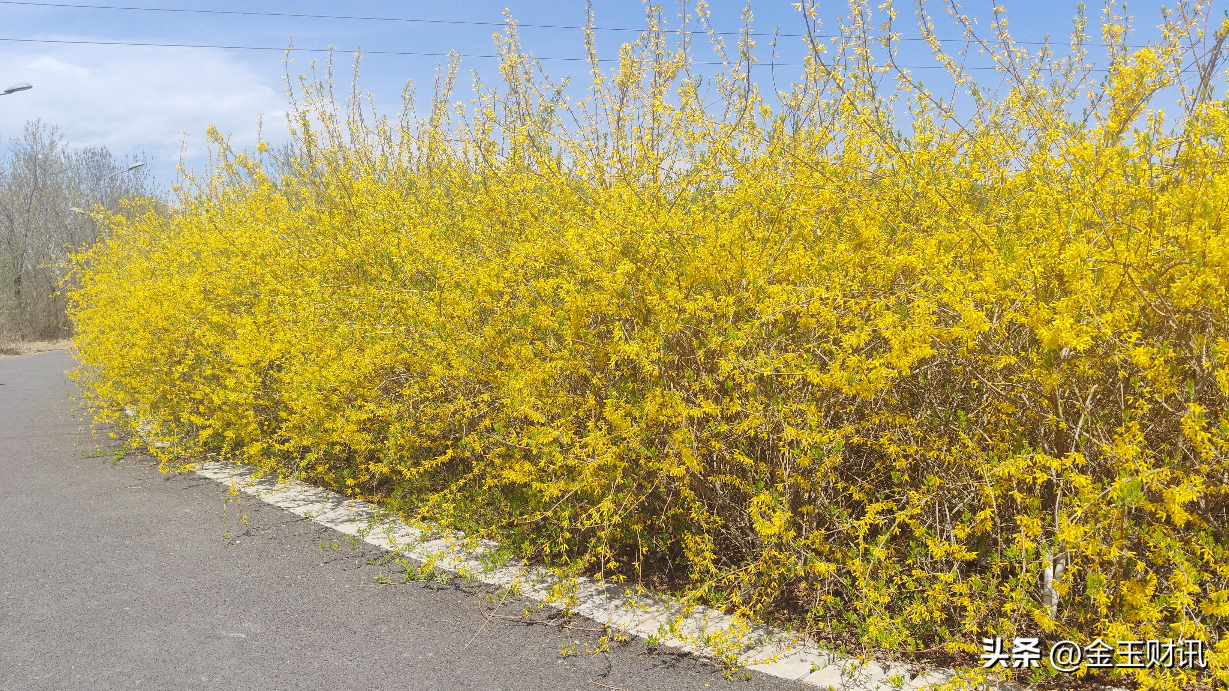 炒股的技巧和方法_炒股技术指标失灵_市场炒作逻辑分析