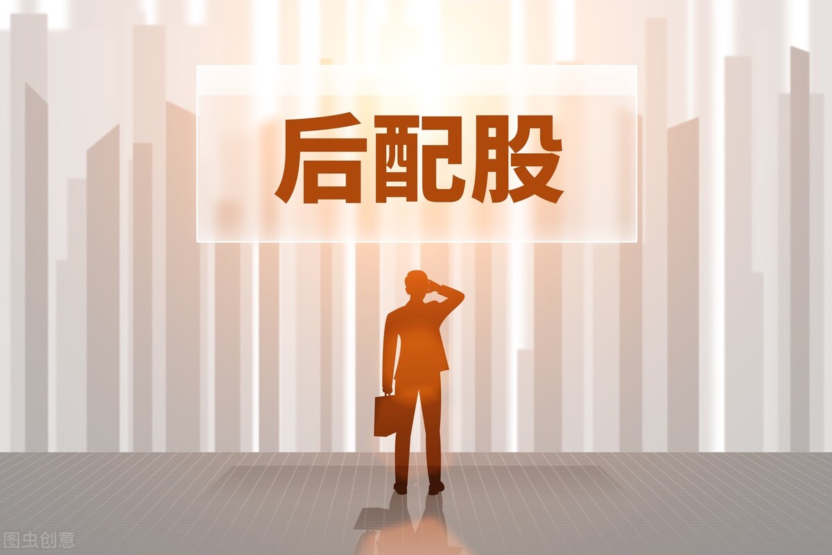 配股是什么意思_股票融资是什么意思_如何操作配股