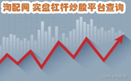 股票杠杆平台：放大投资收益的金融工具，风险几何？