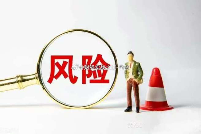 金融杠杆是什么意思_杠杆的类型及其影响_金融杠杆是什么意思