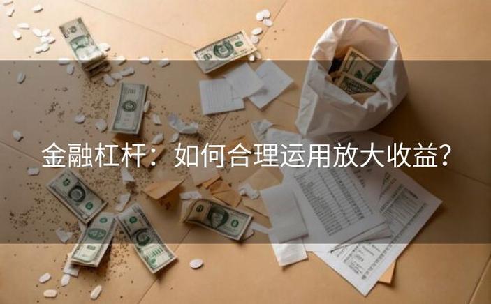 金融杠杆是什么意思_杠杆原理 金融进化 资本市场